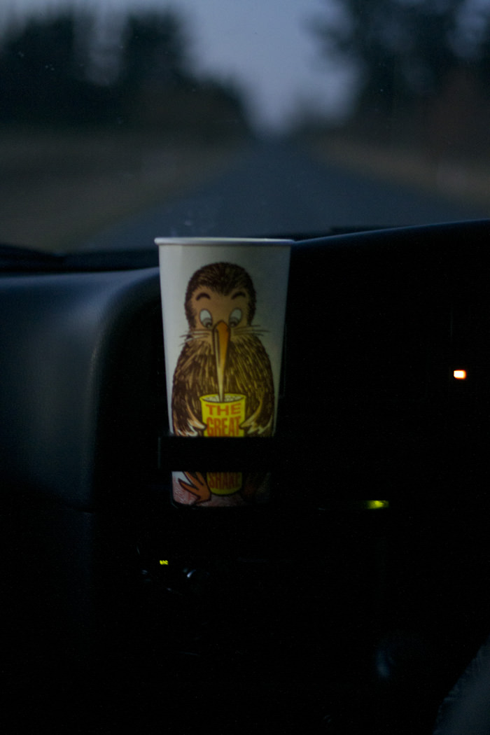 kiwi milkshake for the drive home